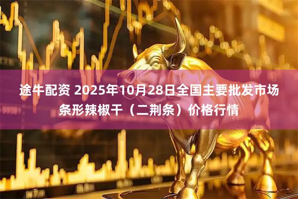 途牛配资 2025年10月28日全国主要批发市场条形辣椒干（二荆条）价格行情