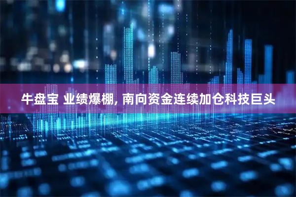 牛盘宝 业绩爆棚, 南向资金连续加仓科技巨头