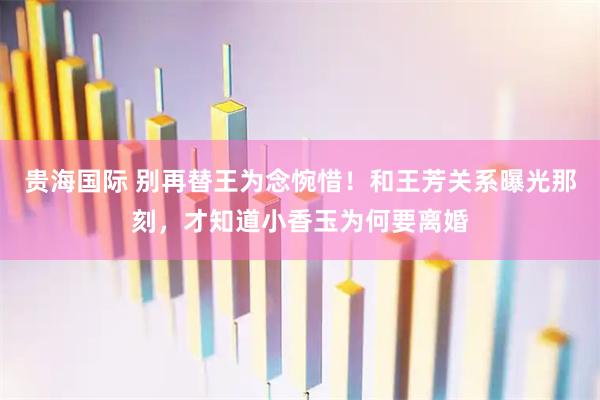 贵海国际 别再替王为念惋惜！和王芳关系曝光那刻，才知道小香玉为何要离婚