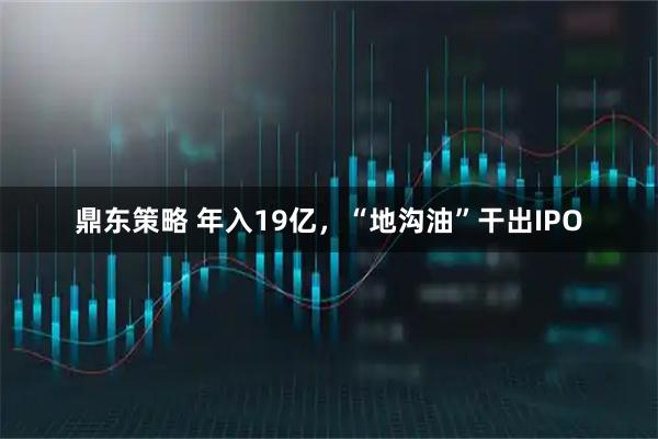 鼎东策略 年入19亿，“地沟油”干出IPO