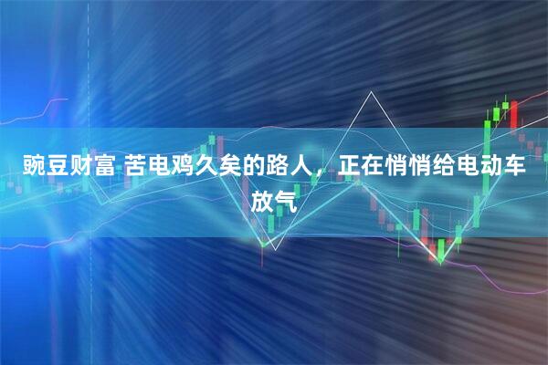 豌豆财富 苦电鸡久矣的路人，正在悄悄给电动车放气